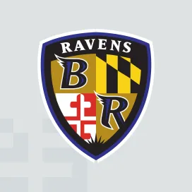 Baltimore ravens 7